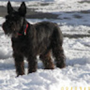 Meet your Posher, Detlef